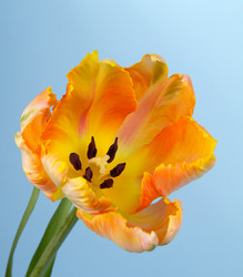 Similar image 2333602