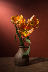 Similar image 2333629