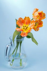 Similar image 2333630