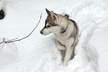 Similar image 2333804