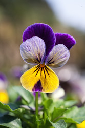 Similar image 2333856