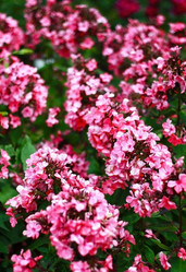 Similar image 2333862