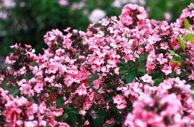 Similar image 2333863