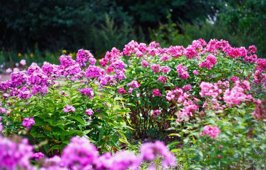 Similar image 2333864