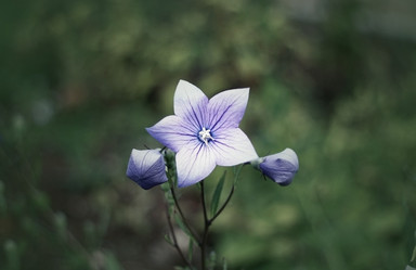 Similar image 2333865