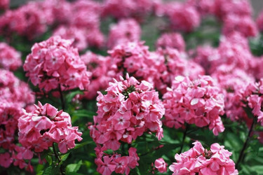 Similar image 2333866