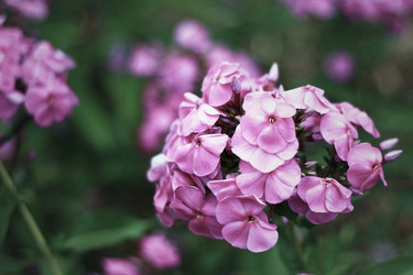 Similar image 2333867