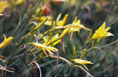 Similar image 2333868