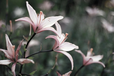 Similar image 2333870