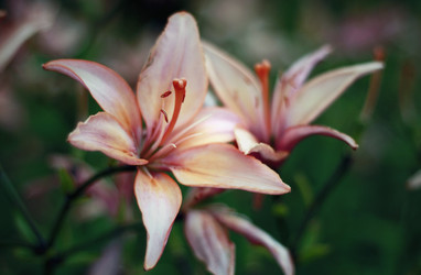 Similar image 2333871