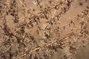 Similar image 2333921