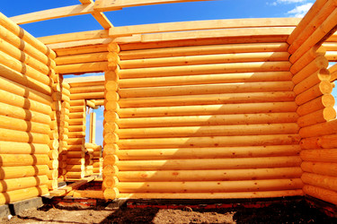 Similar image 2333942