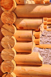 Similar image 2333944