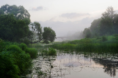 Similar image 2333985