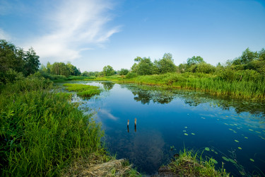 Similar image 2333986