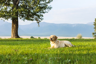 Similar image 2334011