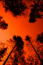 Similar image 2334015