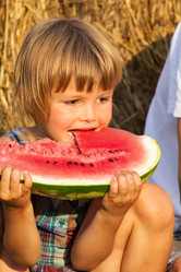 Similar image 2334018