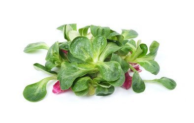 Similar image 2334076