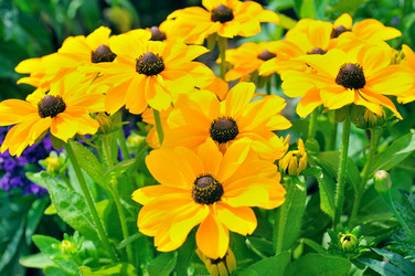 Similar image 2334110