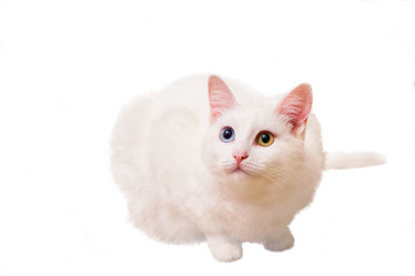 Similar image 2334117