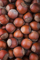 Similar image 2334311