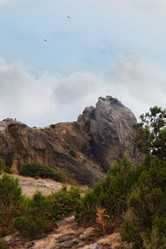 Similar image 2334328