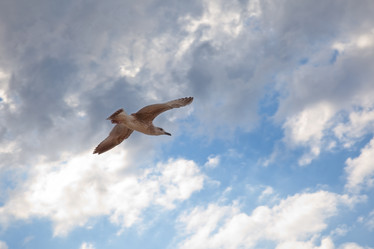 Similar image 2334330