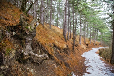 Similar image 2334354