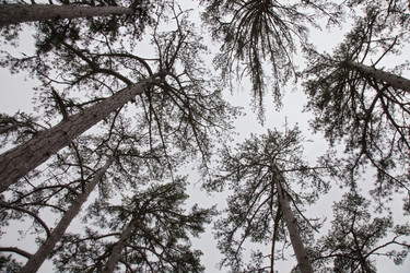 Similar image 2334355