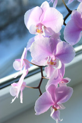 Similar image 2334381