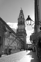 Similar image 2334476