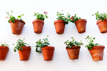 Similar image 2334478