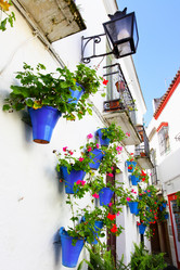 Similar image 2334490