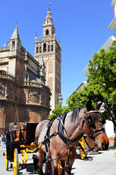 Similar image 2334515