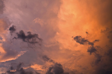 Similar image 2334545