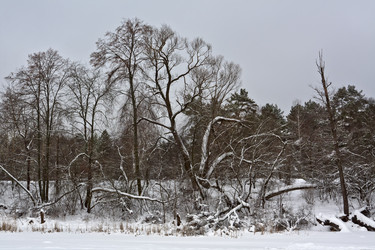 Similar image 2334573