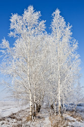 Similar image 2334576