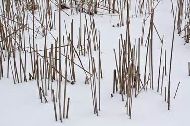 Similar image 2334602