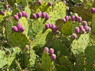 Similar image 2334604