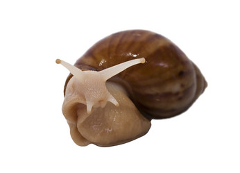 Similar image 2334607