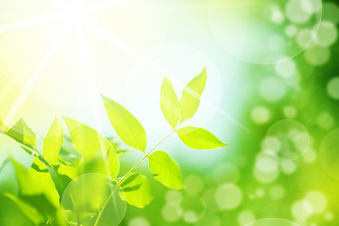 Similar image 2334610