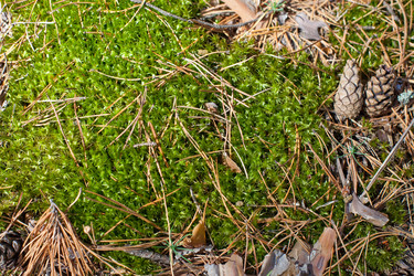 Similar image 2334613