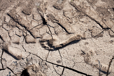 Similar image 2334618