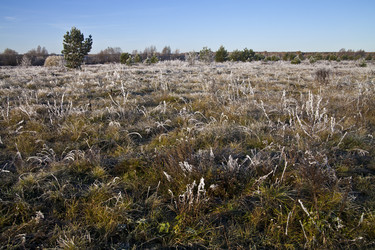 Similar image 2334620