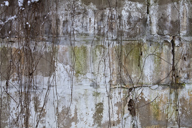 Similar image 2334619