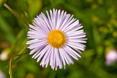 Similar image 2334625