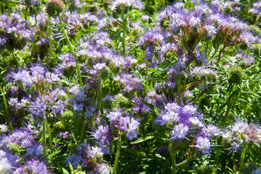 Similar image 2334632