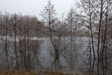 Similar image 2334633