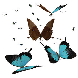 Similar image 2334682